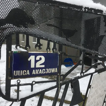 Eko-pad * 威利兹卡