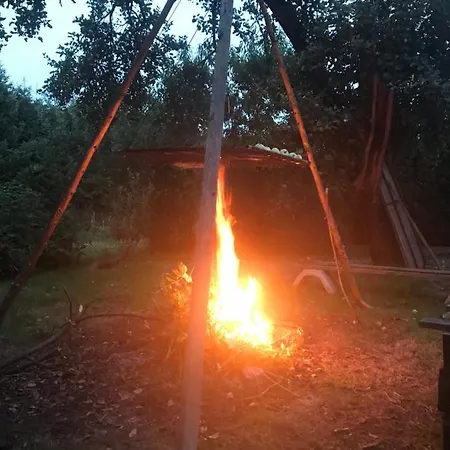 Eko-pad * 威利兹卡