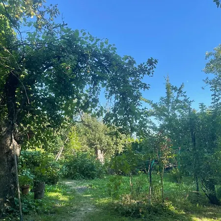 Eko-pad 民宿 威利兹卡