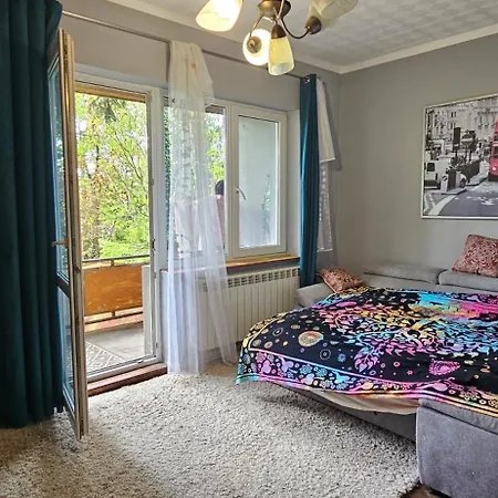 Eko-pad * 威利兹卡