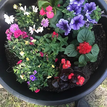 Eko-pad 民宿 威利兹卡