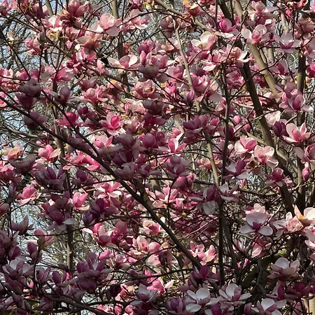 民宿 Eko-pad 威利兹卡