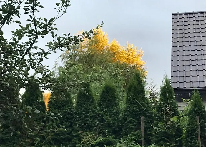 Homestay szállás Eko-pad *