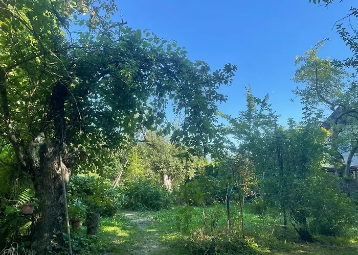 Eko-pad Homestay szállás Wieliczka