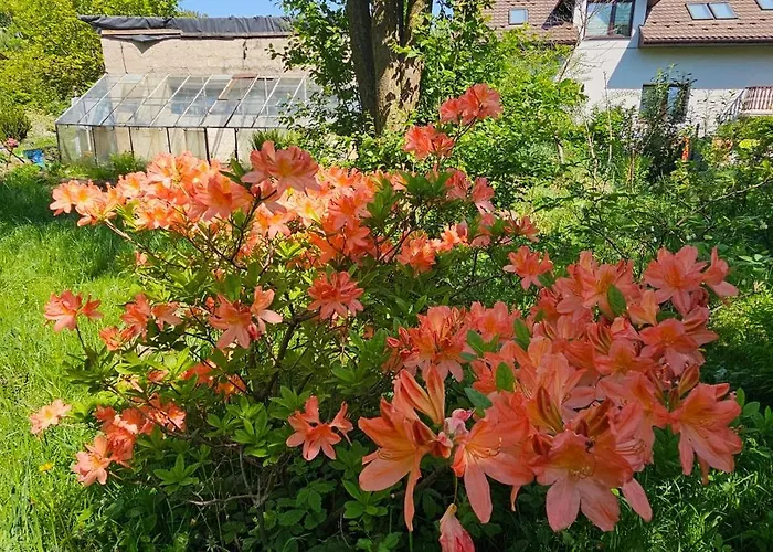 Homestay szállás Eko-pad