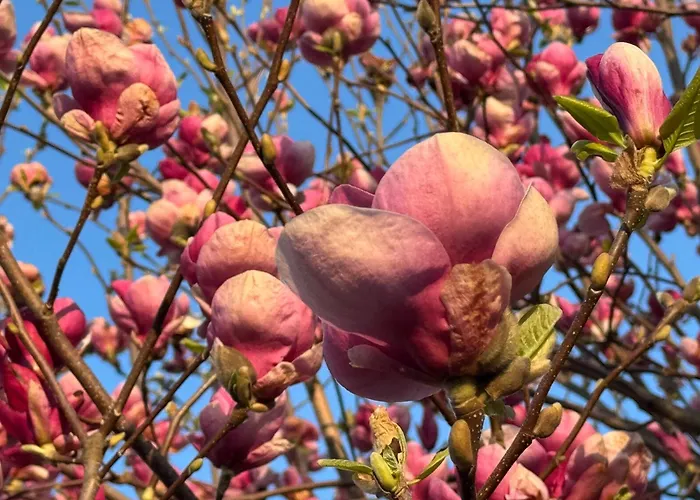 Eko-pad Homestay szállás *