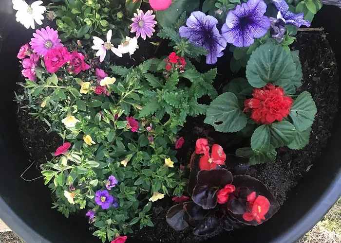 Eko-pad Homestay szállás Wieliczka