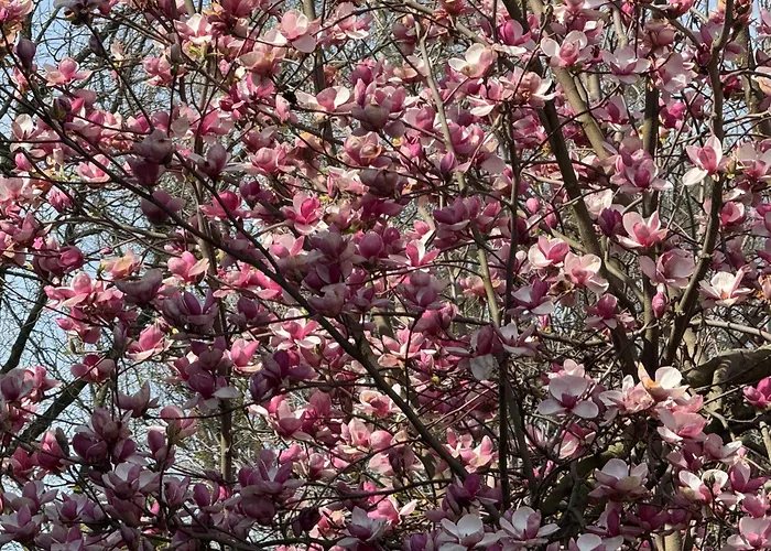 Homestay szállás Eko-pad Wieliczka